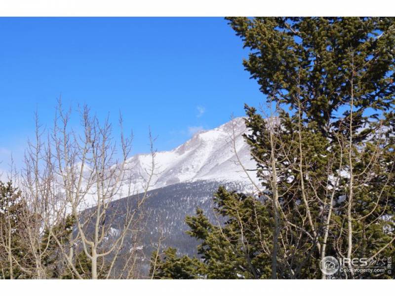 688 Skinner Rd, Allenspark, Colorado 80510, ,Vacant Land and Lots,For Sale,Skinner,906957